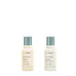 Aveda Shampure Nurturing Shampoo for Fine to Medium Hair | Gently Cleanses and Nourishes Hair | With Abyssinian Oil | Calming Aroma of Lavender & Ylang Ylang | 96% Naturally Derived*