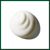 Aveda Brilliant Universal Styling Creme | Defines Texture | Seals in Moisture | Adds Shine | for Medium to Thick Curly & Coily Hair Types | Jasmine, Rose, Clove Aroma |5 Fl Oz