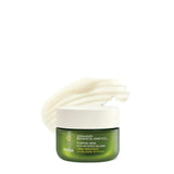 Aveda Advanced Botanical Kinetics Plumping Cream | Firming and visibly reducing wrinkles | Vegan | Full Size | Refillable | 1.7 Fl Oz