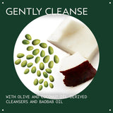 Aveda Botanical Kinetics All-Sensitive Cleaner | Gentle Facial Cleanser for Sensitive Skin | Fragrance Free | with Olive and Coconut Oil | 98% Naturally Derived*, 5.0 Fl Oz