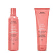Aveda Nutriplenish Shampoo Light Moisture | Hydrating Shampoo for Fine to Medium Dry Hair | Organic Pomegranate Oil, Coconut Oil, Mango Butter | 93% Naturally Derived*