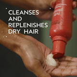 Aveda Nutriplenish Shampoo Deep Moisture | Rich Hydration for Medium to Thick Dry Hair | Organic Pomegranate Oil, Coconut Oil, Mango Butter | 93% Naturally Derived*