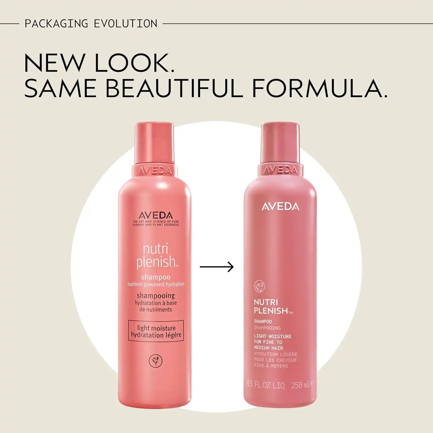 Aveda Nutriplenish Shampoo Light Moisture | Hydrating Shampoo for Fine to Medium Dry Hair | Organic Pomegranate Oil, Coconut Oil, Mango Butter | 93% Naturally Derived*