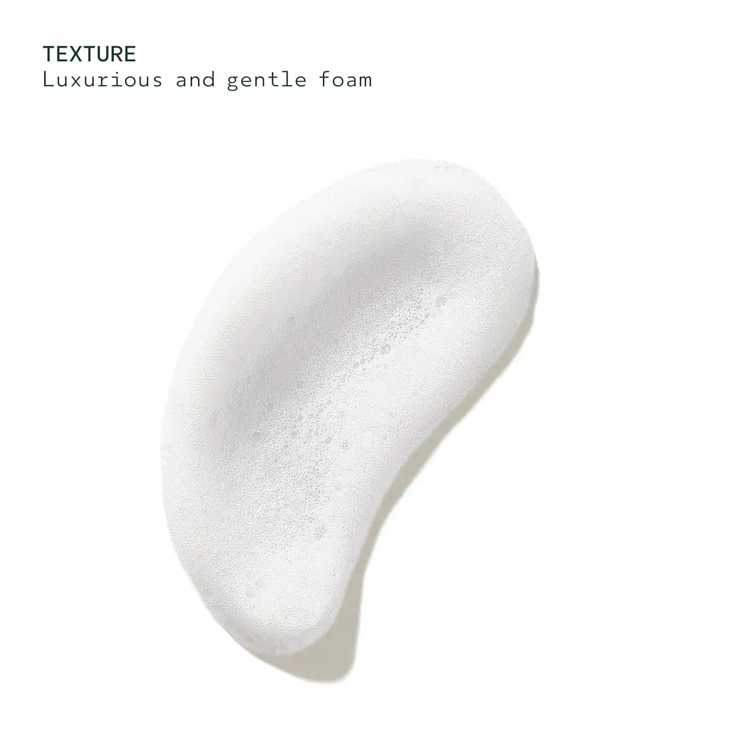 Aveda Rosemary Mint Foaming Hand Wash | Gentle Refillable Foaming Hand Cleanser With Signature Invigorating Aroma | With Plant Derived Glycerin | 98% Naturally Derived*
