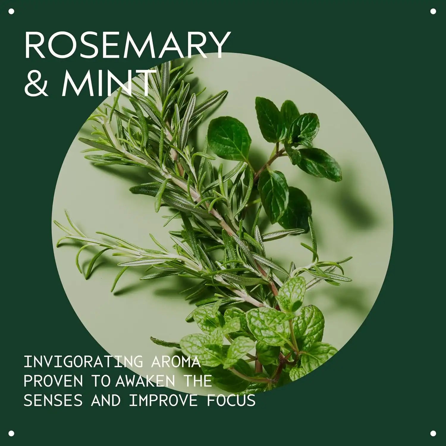 Aveda Rosemary Mint Hand & Body Wash | Liquid Hand Soap and Body Wash | with Invigorating Aroma of Certified Organic Peppermint & Rosemary
