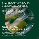 Aveda Botanical Repair Strengthening Leave-In Treatment for Damaged Hair | Instantly Strengthens Hair | Heat Protectant | Helps Protect From Breakage | Reduces Frizz | 99% Naturally Derived