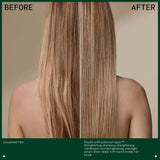 Aveda Botanical Repair Strengthening Shampoo | Strengthens and Repairs Damaged Hair | Bond-Building Shampoo | 94% Naturally Derived* | Silicone Free