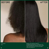 Aveda Botanical Repair Bond-Building Flash Treatment for Stronger Hair | Strengthens Hair in 10 Seconds | Adds Shine & Smoothness | 98% Naturally Derived*, 5 Fl Oz