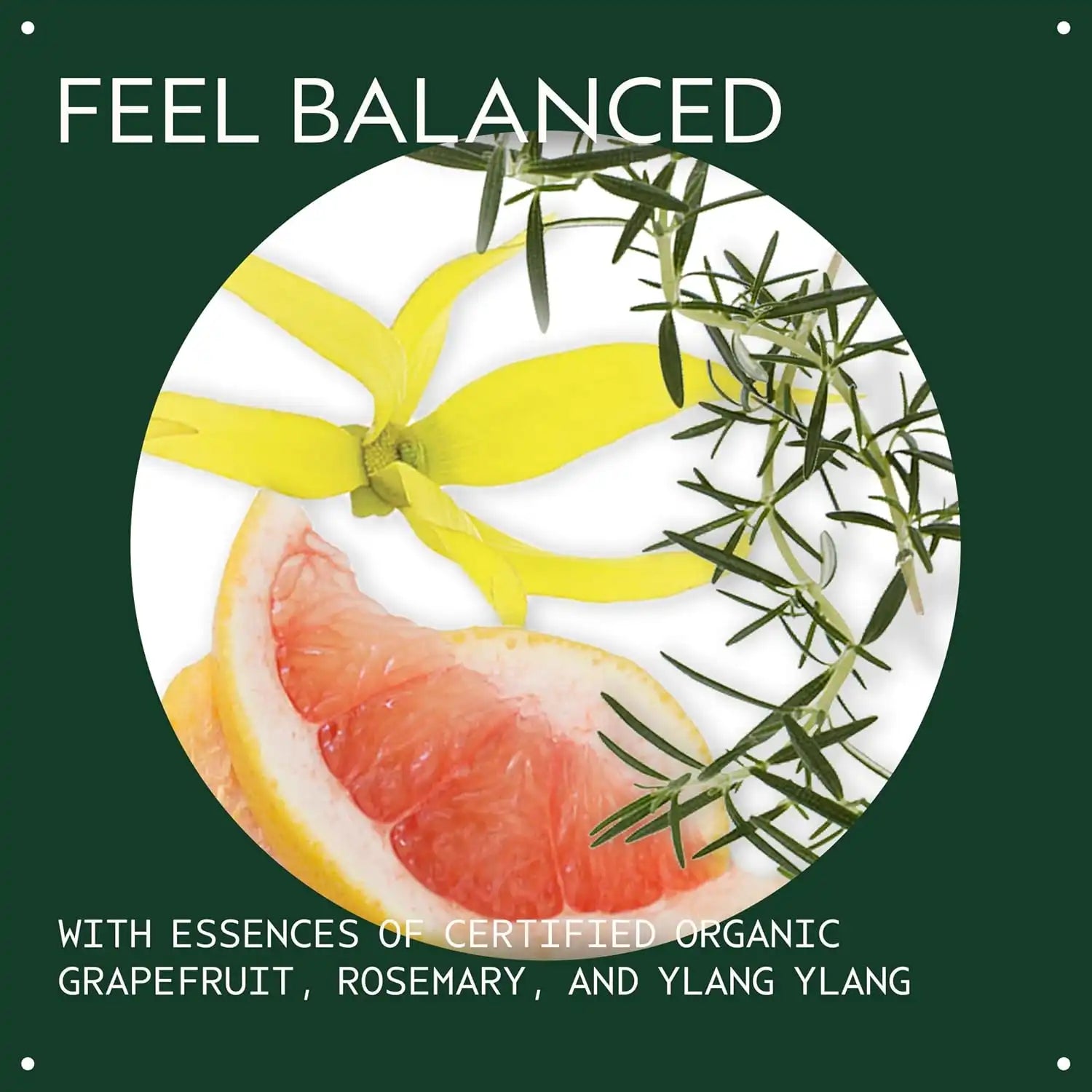 Aveda Chakra 5 Balancing Pure-Fume Mist: Throat | Body & Room Spray | Balances Throat Chakra | With Certified Organic Grapefruit, Rosemary, Ylang Ylang, 3.4 Fl Oz