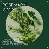 Aveda Rosemary Mint Vegan Soy Wax Candle | Invigorating Aroma of Certified Organic Peppermint, Spearmint, Rosemary | 100% Naturally Derived*