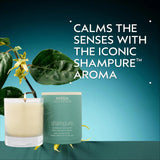 Aveda Shampure Vegan Soy Wax Candle | Calming Aroma of Certified Organic Lavender, Petitgrain, Ylang Ylang
